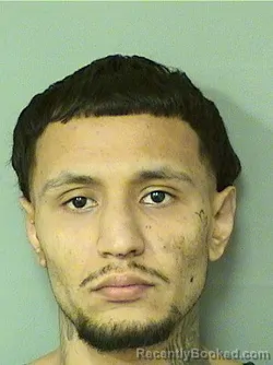 Mugshot of FREDDY CASTANEDA