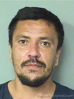 Mugshot of VINICIUS LOUREIRO