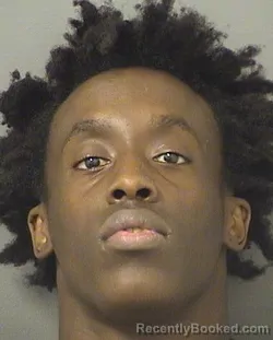 Mugshot of CHAMARION LEWIS