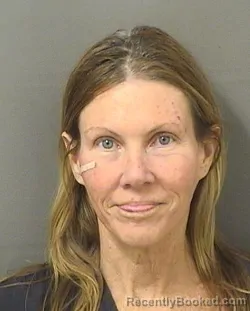 Mugshot of MELINDA A MEANEY