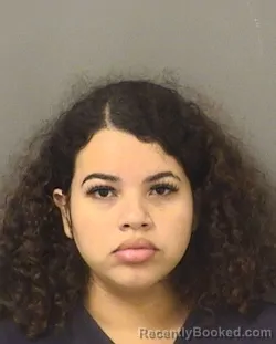 Booking photo from Palm Beach County, Florida