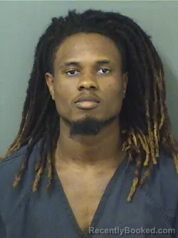 Mugshot of DAWILSON LUBIN