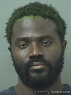Booking photo from Palm Beach County, Florida