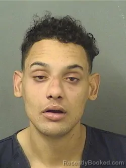 Mugshot of TOMAS XAVIER COLLIER