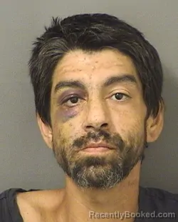 Mugshot of FELIPE ALBERTO SODUPE