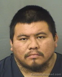 Booking photo from Palm Beach County, Florida
