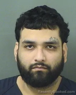 Mugshot of RICARDO GONZALEZ