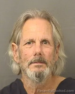 Mugshot of THOMAS BORGHI