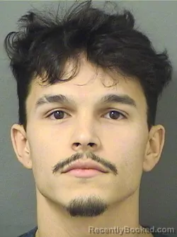 Mugshot of DANIEL WARNER