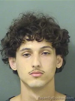 Mugshot of AIDAN CONSTANTINE LAPKIN