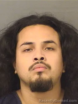 Booking photo from Palm Beach County, Florida