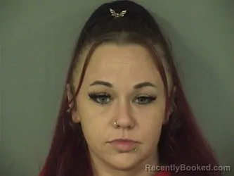 Mugshot of AMBER NICOLE POTTER