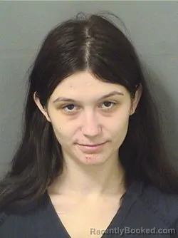 Booking photo from Palm Beach County, Florida
