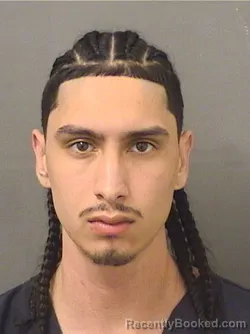 Booking photo from Palm Beach County, Florida