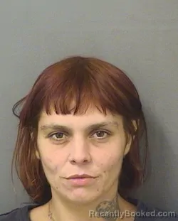 Booking photo from Palm Beach County, Florida