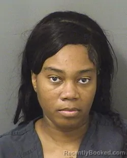Booking photo from Palm Beach County, Florida