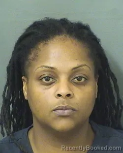 Booking photo from Palm Beach County, Florida