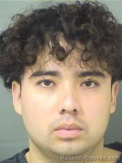 Booking photo from Palm Beach County, Florida
