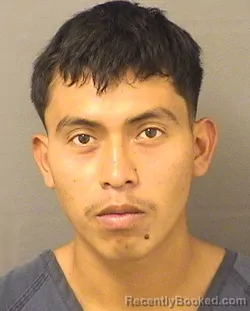 Booking photo from Palm Beach County, Florida