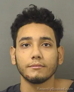 Mugshot of JOEL E SANCHEZ