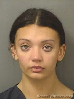 Booking photo from Palm Beach County, Florida