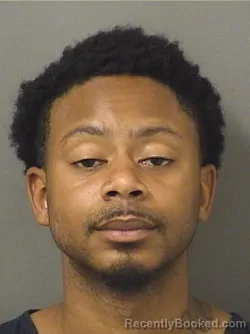 Booking photo from Palm Beach County, Florida