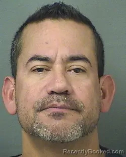 Mugshot of DONNIE S PEREZNAVARRO