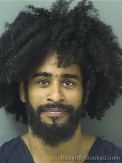 Mugshot of ARMANI IAN GIL