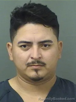 Mugshot of MAURICIO J ORDONEZVANEGAS