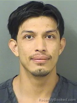 Mugshot of LUIS J CASTROVARON