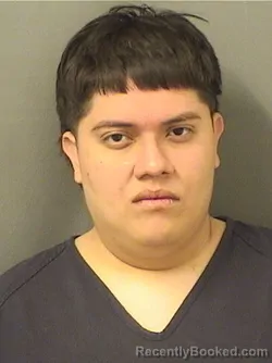 Mugshot of DAVID BARRERA