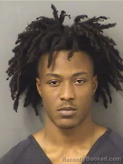 Booking photo from Palm Beach County, Florida