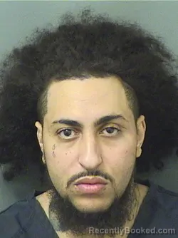 Booking photo from Palm Beach County, Florida