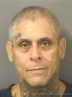 Booking photo from Palm Beach County, Florida