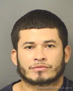 Mugshot of KELVIN A HERNANDEZMALDONADO
