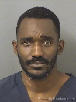 Booking photo from Palm Beach County, Florida