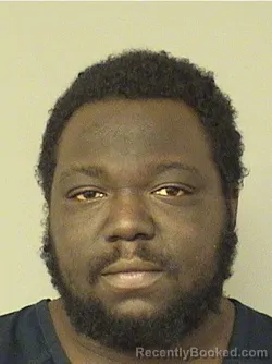 Mugshot of DREQUION M JOHNSON