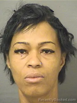 Mugshot of DENISAH T OLIPHANT