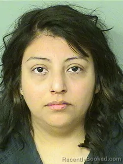 Booking photo from Palm Beach County, Florida