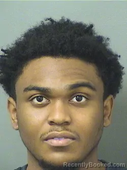 Booking photo from Palm Beach County, Florida