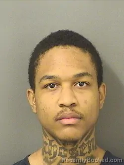 Booking photo from Palm Beach County, Florida