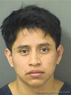 Booking photo from Palm Beach County, Florida