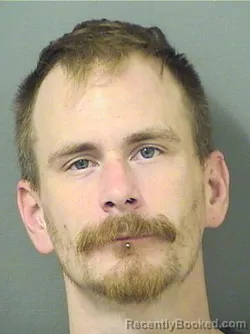 Mugshot of PETER COLLING