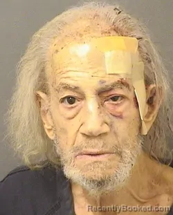 Mugshot of STEPHEN SOLOMON