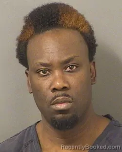 Mugshot of BLAISE ROMAIN