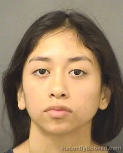 Mugshot of KEISI SILVESTRE