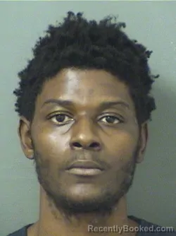 Mugshot of WILKENS DORVIL