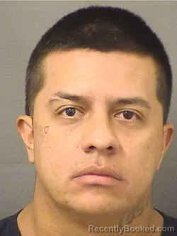 Booking photo from Palm Beach County, Florida