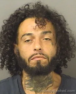 Mugshot of KEANU LOPES