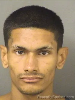 Mugshot of JUAN E VILLALOBOS